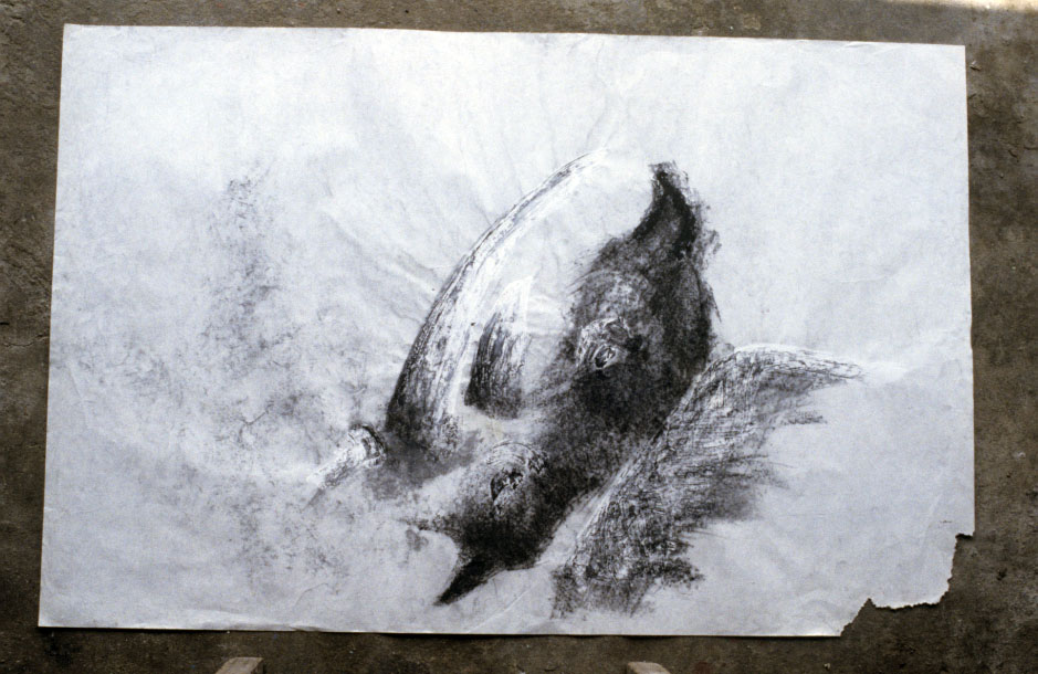 Rhinoceros 1984-1987