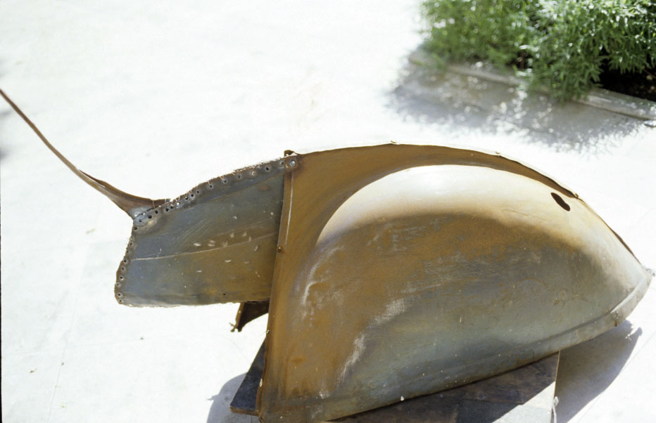 Rhinoceros 1984-1987
